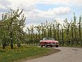 Bloesemrit 2017_ (254)